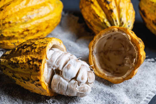 What Cacao Varieties Are There in Costa Rica?